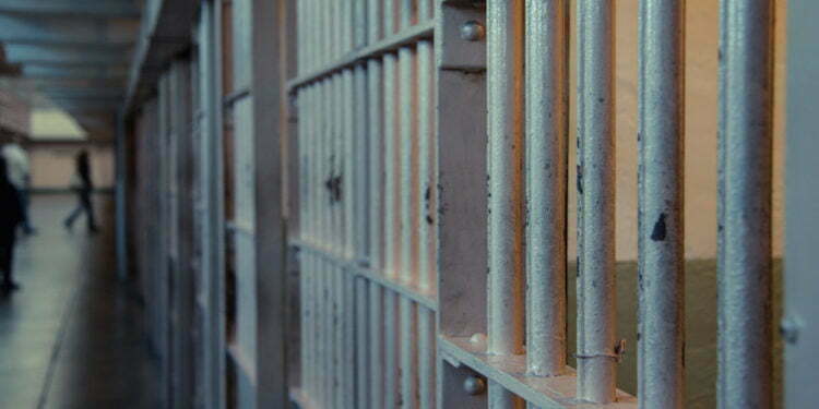 צילום: אילוסטרציה (ג'סטין אלסון/Flickr Commons)