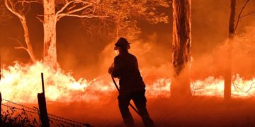 אוסטרליה: מטבח יהודי מספק ארוחות לכבאים הנאבקים בשריפות הענק