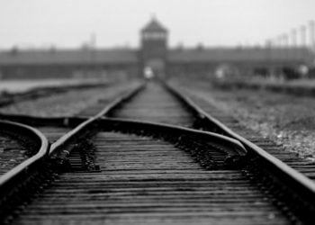 האם שמירת פסלים שנויים במחלוקת בארה״ב דומה לשימור אתרי השואה באירופה? מוזיאון אושוויץ טוען שלא