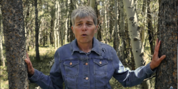 ישראלית בדרך לסנאט? מרב בן-דוד זכתה במועמדות הדמוקרטית במדינת וויאומינג