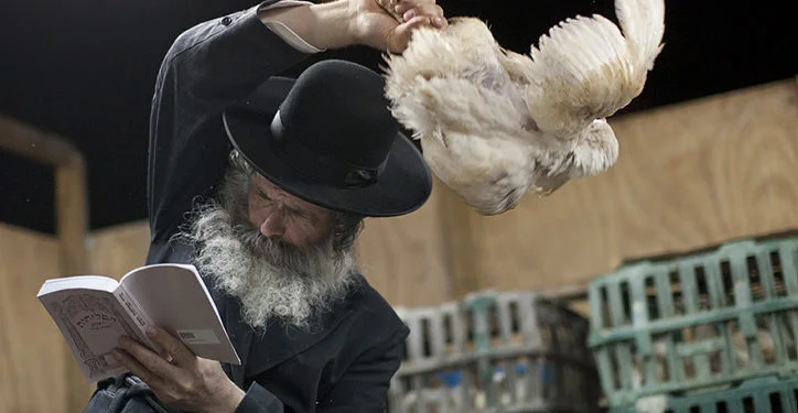בגלל הקורונה – קריאה לאסור את מנהג הכפרות בניו יורק