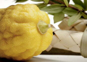 עסקת המאה של טראמפ: הציל את משלוח האתרוגים