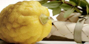 עסקת המאה של טראמפ: הציל את משלוח האתרוגים