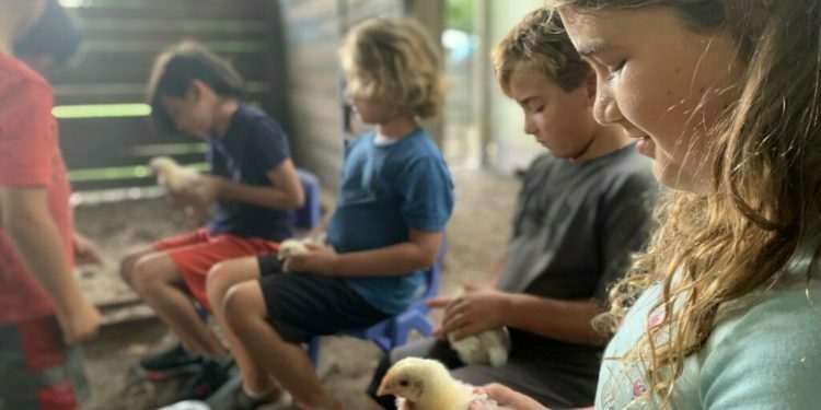 ברוכים הבאים לקיבוץ האמריקאי – חיים יהודיים בצוותא