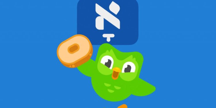 האישה החילונית והחסידים מברוקלין שמאחורי קורס היידיש החדש באפליקציית Duolingo