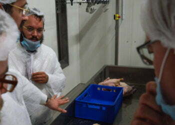 המאבק על השחיטה הכשרה: האם האיחוד האירופי מנסה להפוך לפוסק הלכה?