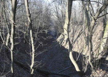 80 שנה אחרי באבי יאר, פרקליט יהודי מנסה להעמיד לדין את אחרון המעורבים בביצוע הטבח