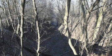 80 שנה אחרי באבי יאר, פרקליט יהודי מנסה להעמיד לדין את אחרון המעורבים בביצוע הטבח