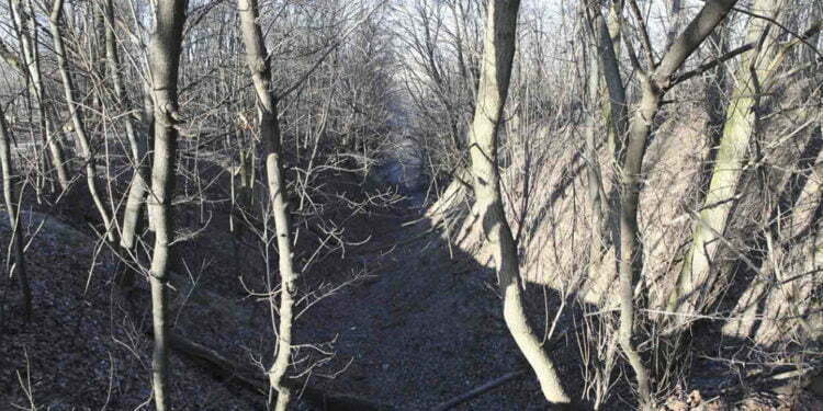 80 שנה אחרי באבי יאר, פרקליט יהודי מנסה להעמיד לדין את אחרון המעורבים בביצוע הטבח