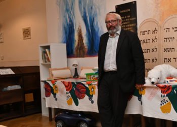 האמירות הפרובוקטיביות של הרב חשפו את השסע בקהילה היהודית ההונגרית