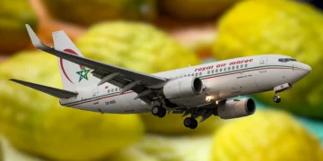 בזכות הנורמליזציה ושנת השמיטה, אתרוגים ממרוקו מציפים את השוק בישראל