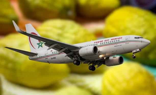 בזכות הנורמליזציה ושנת השמיטה, אתרוגים ממרוקו מציפים את השוק בישראל